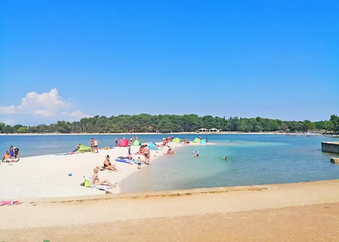 Deh, Stinjan Lejlighed *